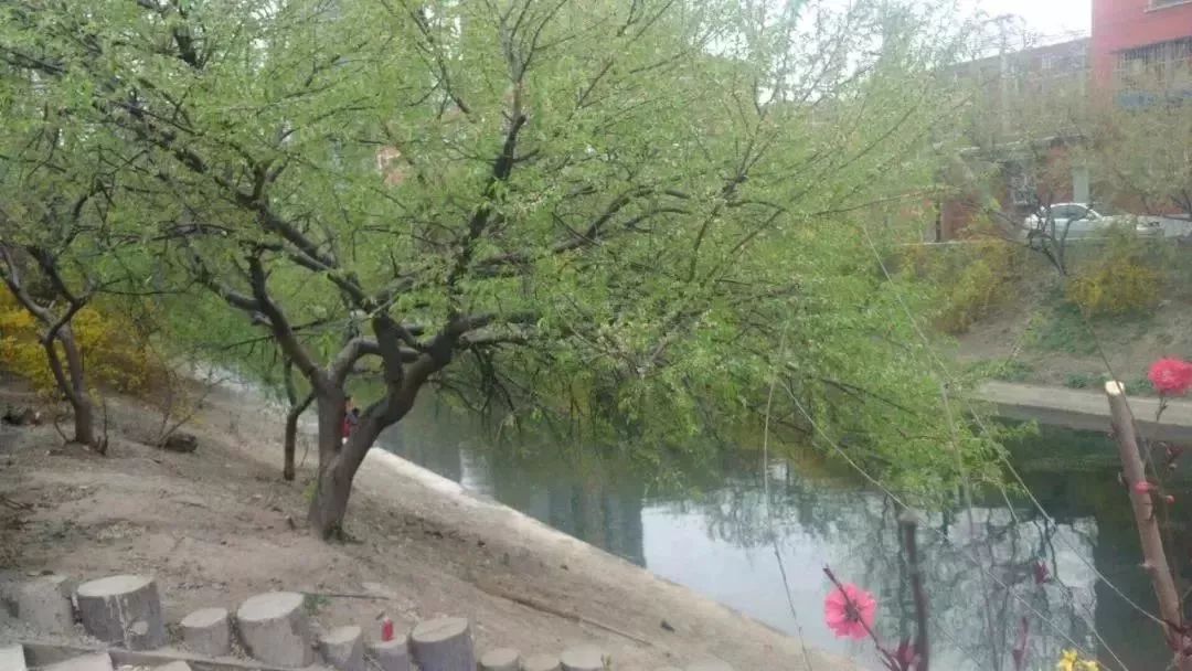 在十里堡住过的，都经历过一段传奇！