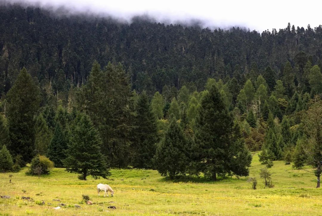 别人说你很优秀如何回答,有人说自己平庸至极你如何回应他