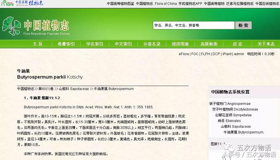 牛油果外表好还是坏,牛油果长成什么状态可以吃