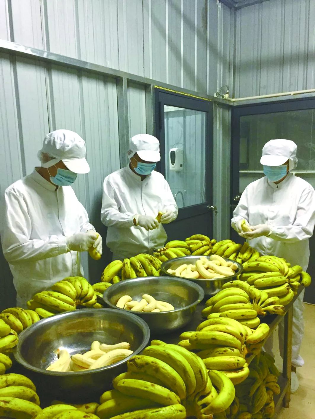 中国最美丽的地方北海涠洲岛,带你畅游北海美丽的涠洲岛