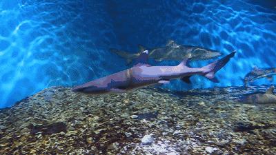 上海利好最新消息,上海基建最新利好