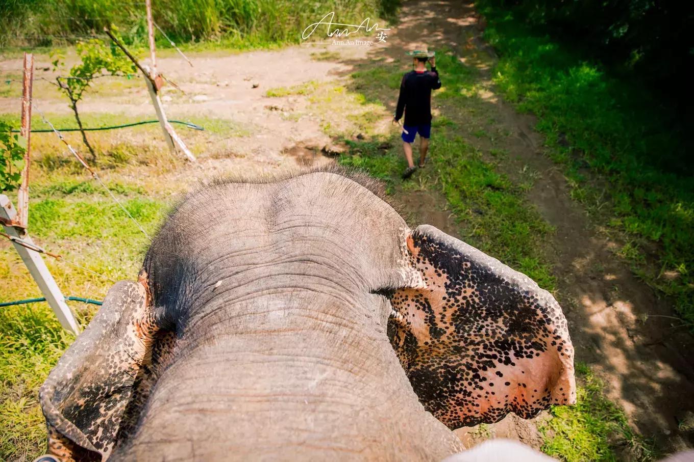 拥抱你的烈日暴雨，开启曼谷华新六日度假购物模式（下）