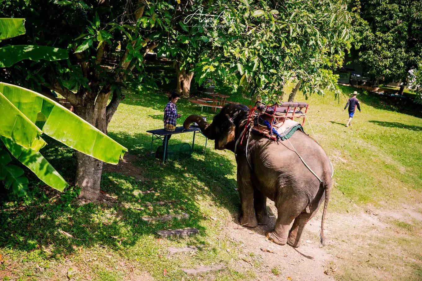 拥抱你的烈日暴雨，开启曼谷华新六日度假购物模式（下）