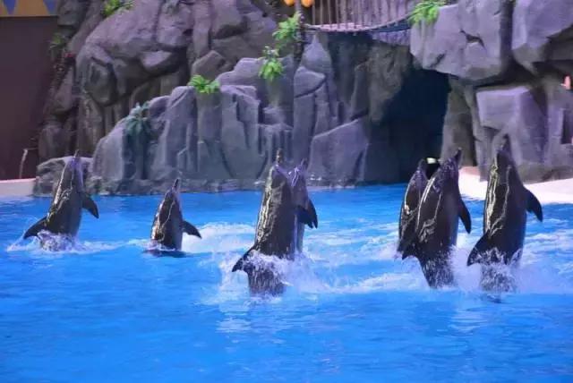 暑期陪娃游长隆海洋王国,这个暑假去珠海海洋王国多人吗