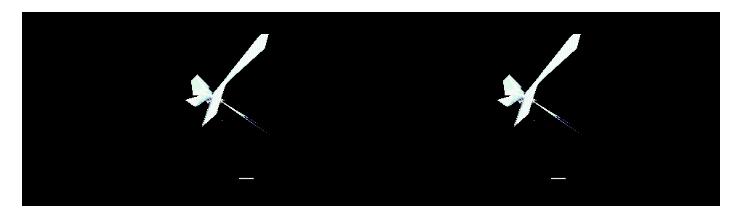 ppt怎么制作九宫格gif图片,如何让gif在ppt里面动起来