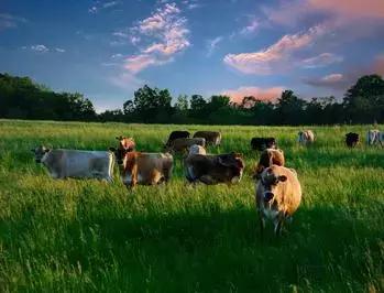 厉害了我的国经济,厉害了我的国经济成就