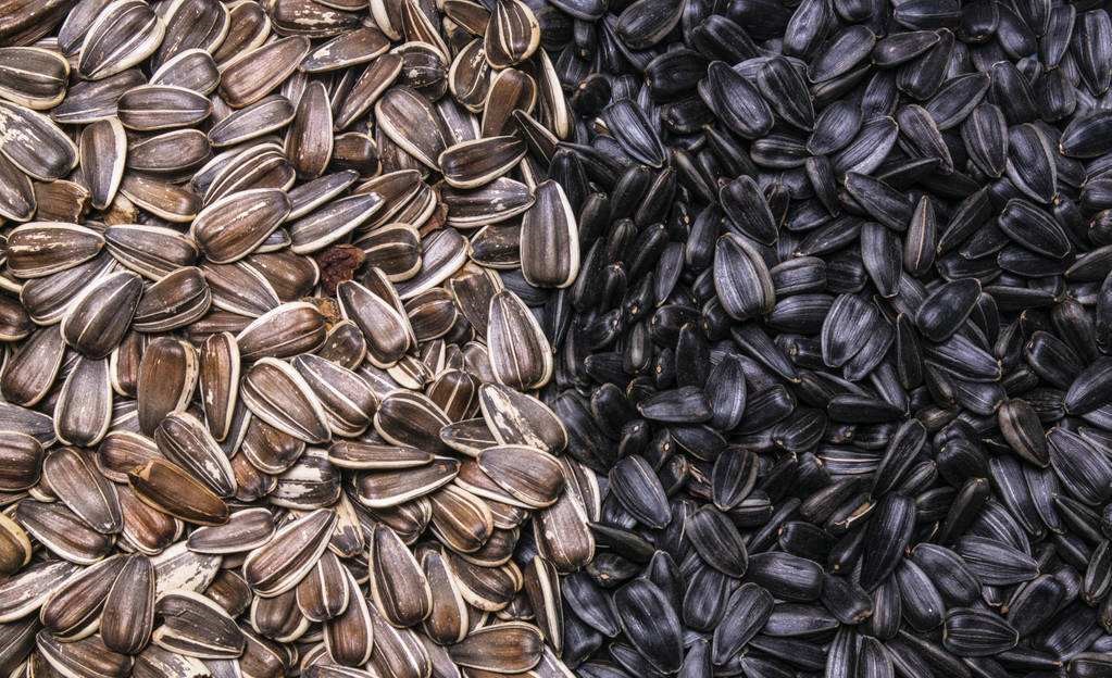 娌硅懙钁佃姳绫芥补,钁佃姳绫芥补鏄补钁靛仛鍑烘潵鐨勫悧