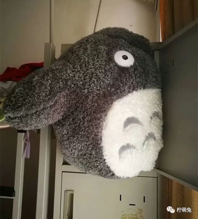 网友晒室友搞笑段子,室友糗事