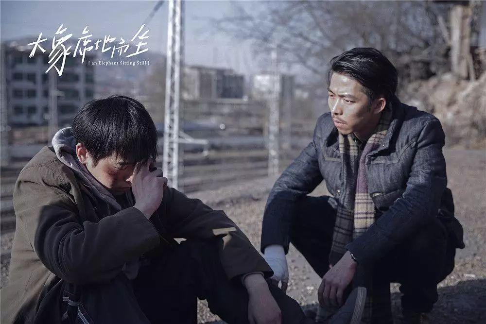 彭昱畅大象席地而坐导演,大象席地而坐导演之死