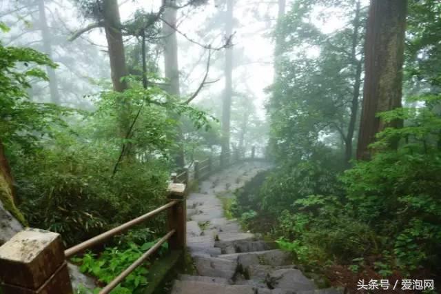 江浙沪深山老林旅游最好去处,清凉避暑好去处森林氧吧