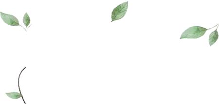 双流新增公园,双流新城区有哪些公园