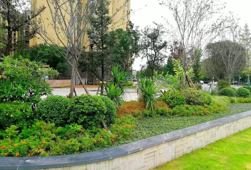 双流新增公园,双流新城区有哪些公园