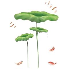 何湛兮:荷花的别名与诗词