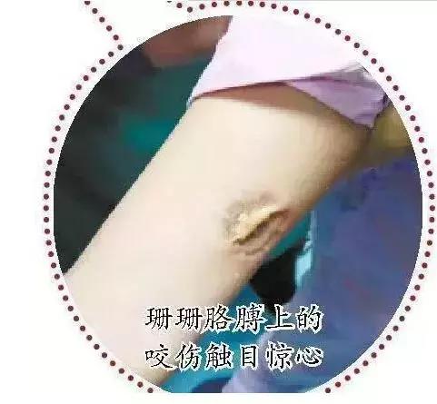 河南一高校暴雨积水,河南暴雨平原变湖泊