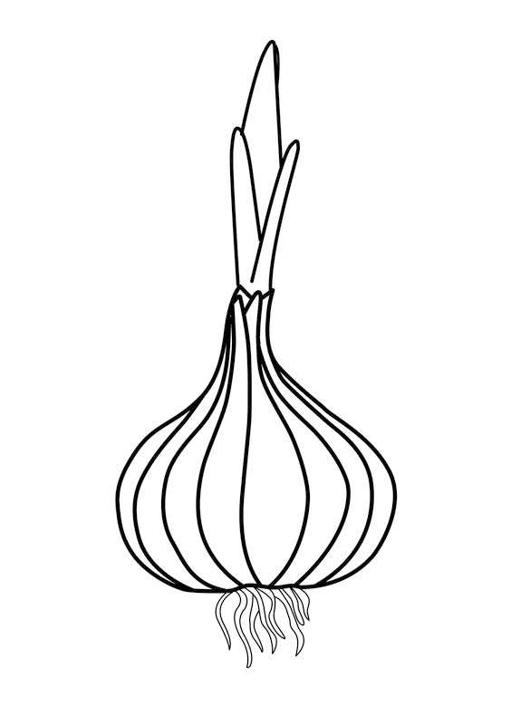 水果蔬菜简笔画合集可打印涂色,各种水果蔬菜的画法简笔画