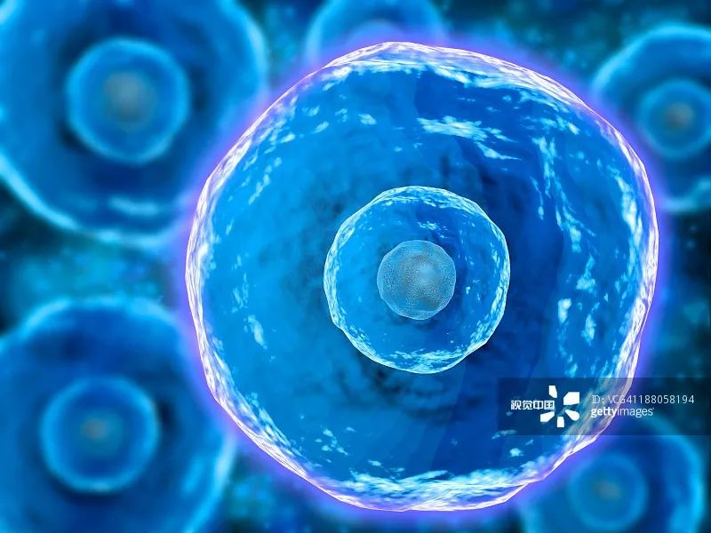 非特殊类型T细胞淋巴瘤,非霍奇金型t细胞淋巴瘤