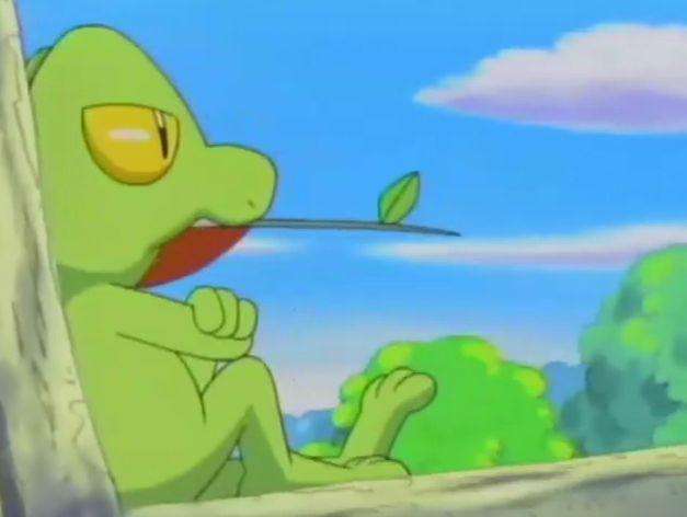 宠物小精灵初始宝可梦,宠物小精灵三个初始精灵