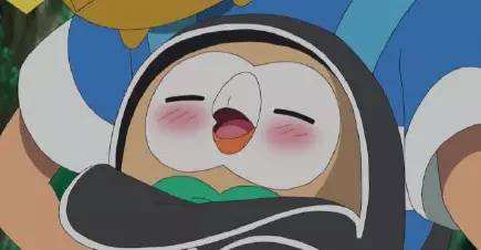 宠物小精灵初始宝可梦,宠物小精灵三个初始精灵