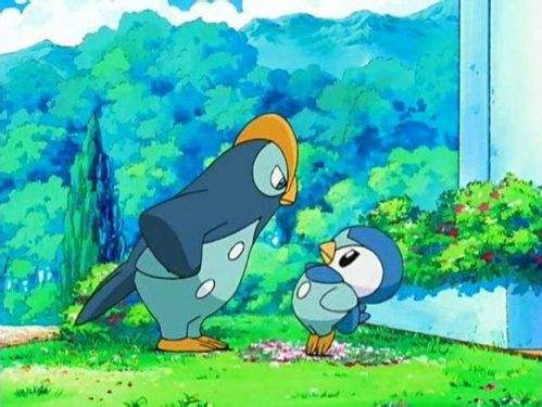 宠物小精灵初始宝可梦,宠物小精灵三个初始精灵