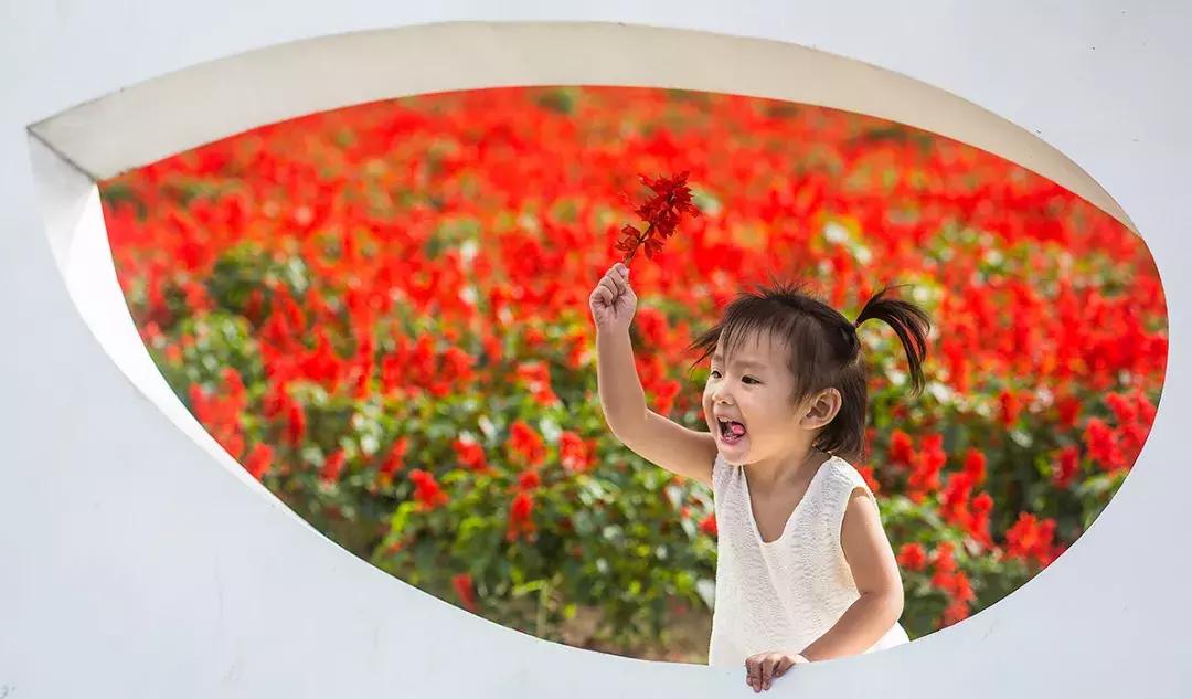 百里山水画廊四季花海,周末美好时光畅游千亩花海