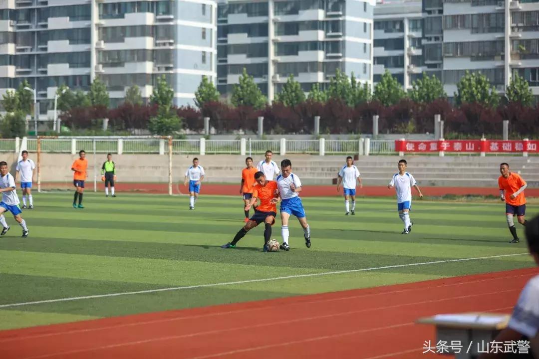 鍗＋鍔ㄥ姏鏉冻鐞冭禌涓存矀鏀槦,鍗＋鍔ㄥ姏