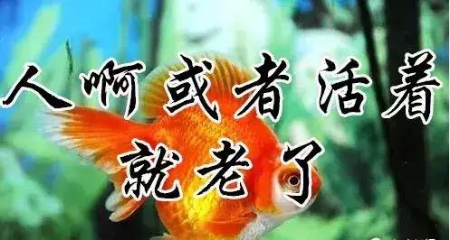 知足常乐每天都要保持开心的状态,知足常乐开心过好每一天