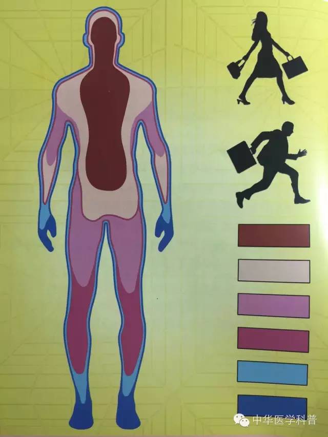 中暑常识100例,宠物中暑的急救常识