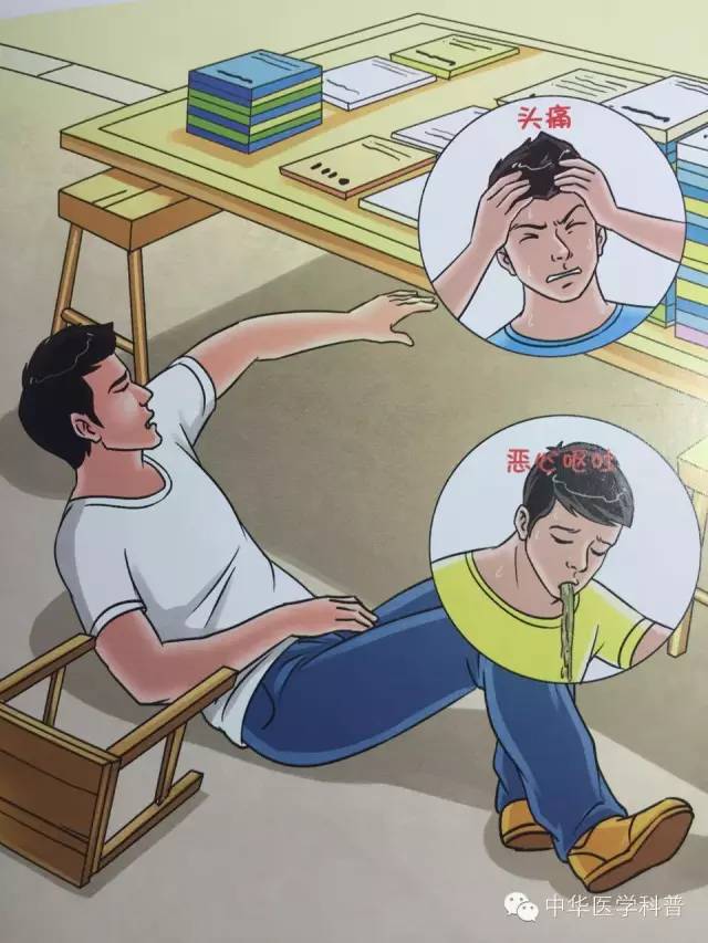 中暑急救常识大全,猫咪中暑的急救常识