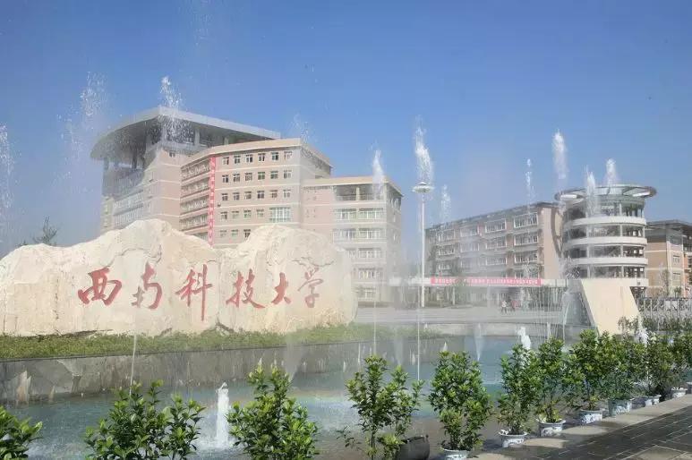 那些留在县城的年轻人后来怎样,那些返乡的年轻人后来都怎么样了