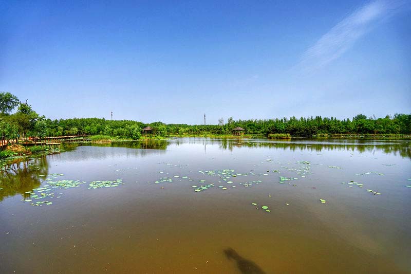 日照旅游攻略日照有山有海有海鲜,日照吴家台大海渔家