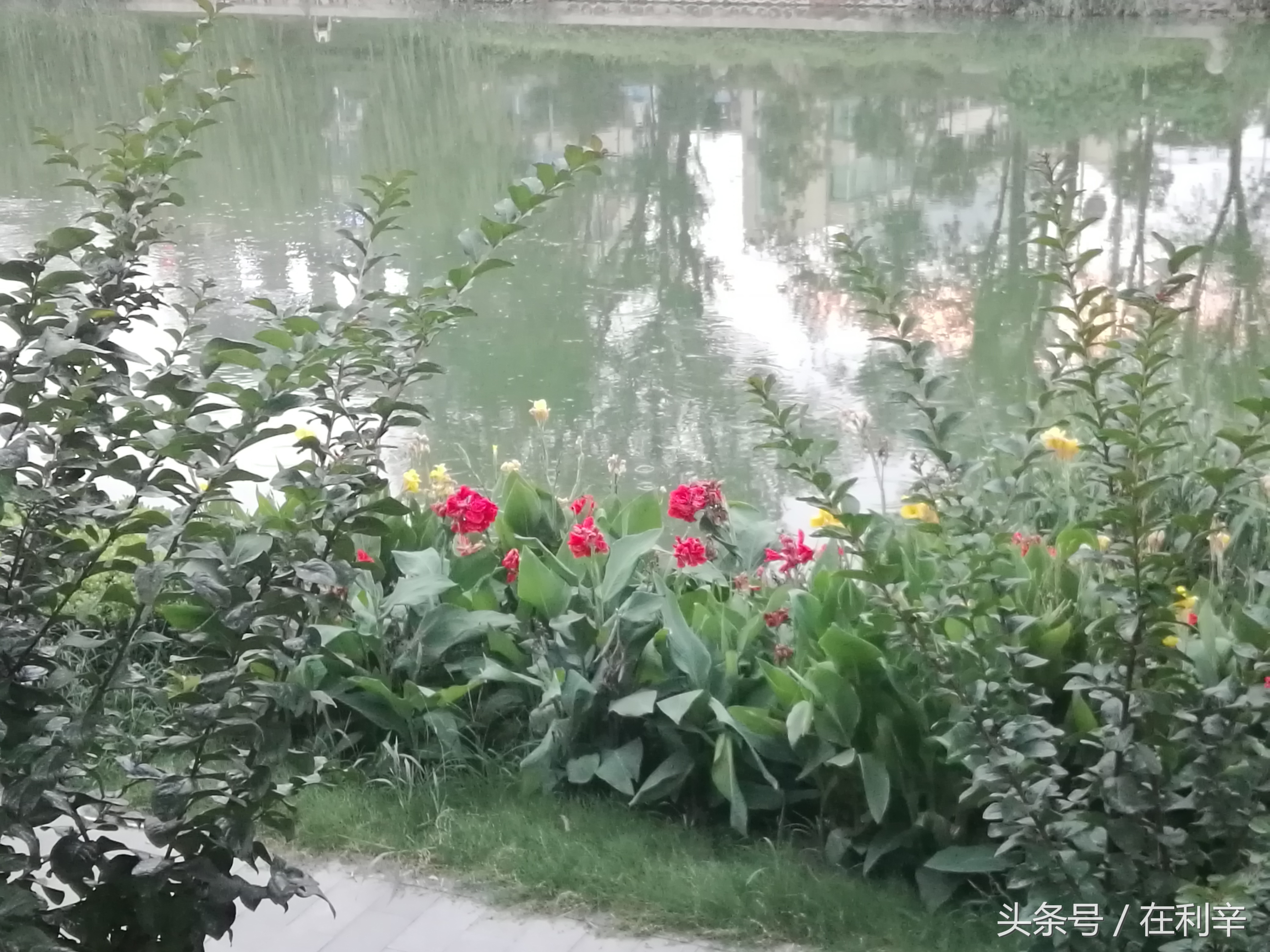 利辛日常生活,亳州利辛县日常生活