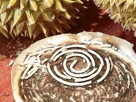 家居驱虫驱蚊有什么好办法,家居驱蚊