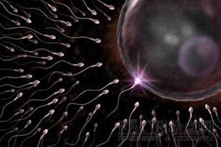 为啥前七后八是危险期,前七后八属于危险期吗