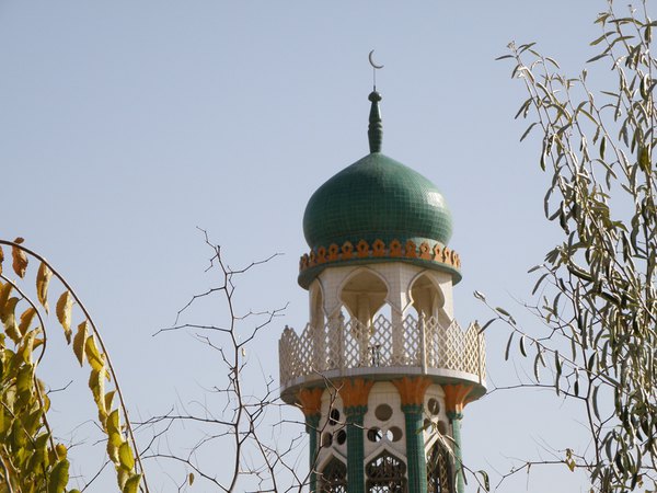 *疆新**（六）——梦牵大西北13