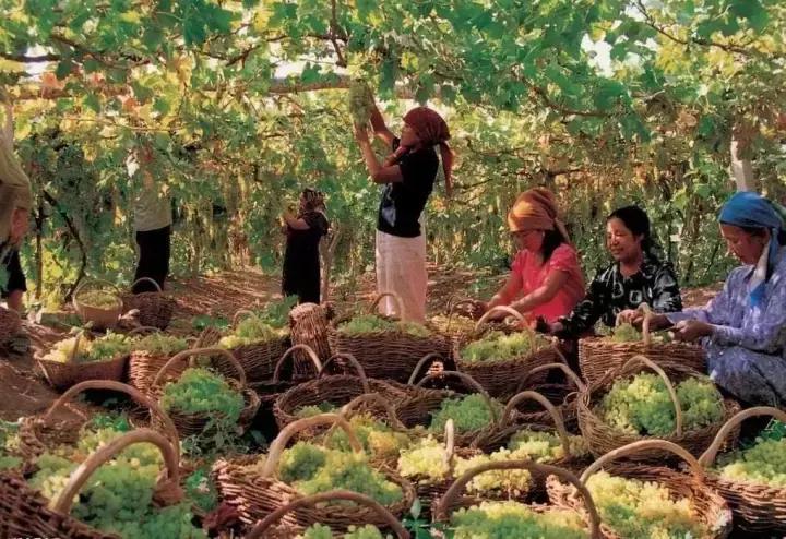 疆北自驾游线路图,全疆大环线自驾游最佳路线