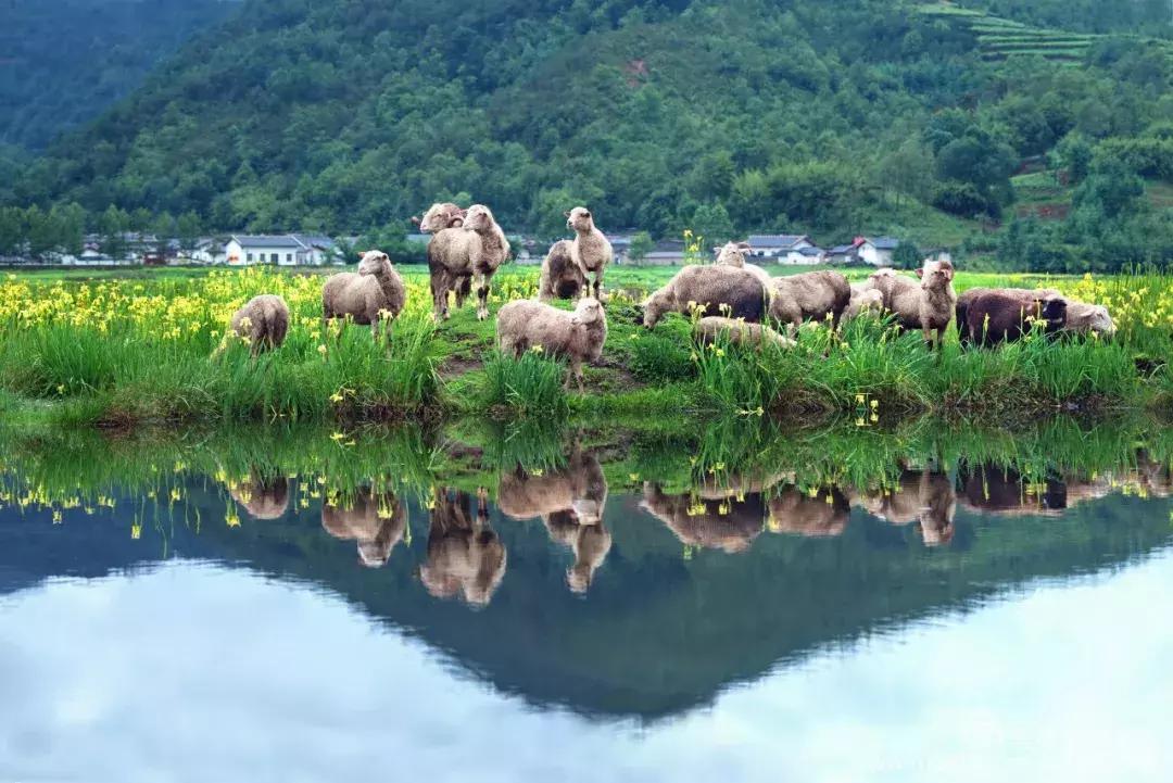 夏天应该怎么去旅游凉快,为什么夏天是最好的旅行时间