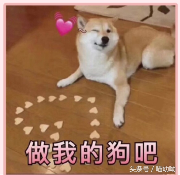 今年七夕流行的包,今年七夕礼物包包