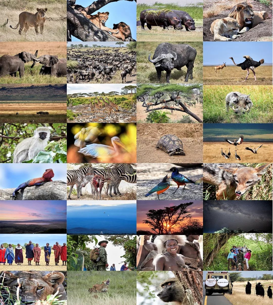 坦桑尼亚最值得去的地方,海外之旅坦桑尼亚