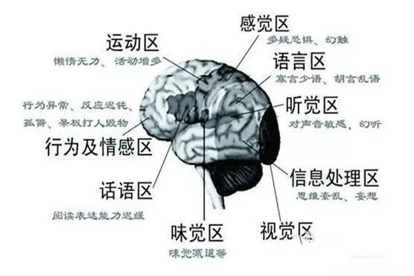 禁毒反邪教育,禁毒教育属于思想品德吗
