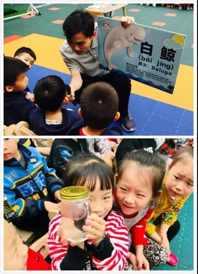 慧文迪儿教育集团,南京市江宁区慧文迪儿幼儿园