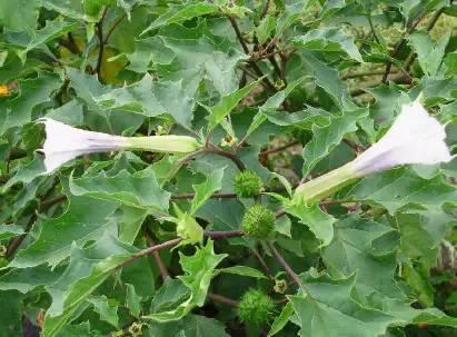 南阳人还去什么医院?你脚底下就是药房!