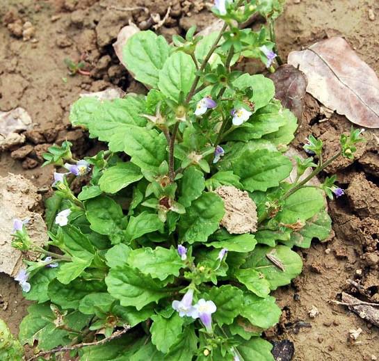 南阳人还去什么医院?你脚底下就是药房!