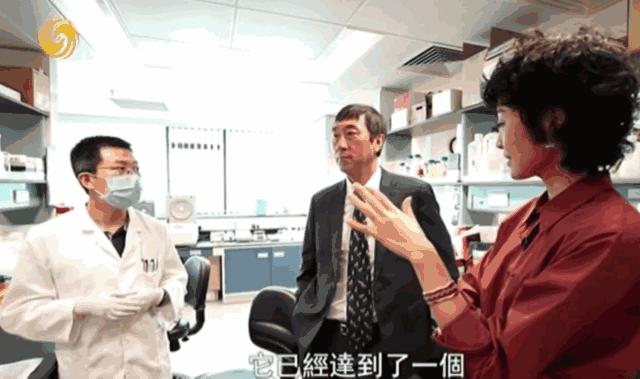 沈祖尧：我们香港的实验室，真的太太太小了