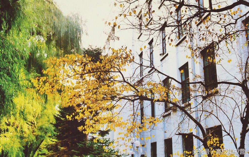 这所中医药大学没有赶上“双一流”的春风,但中药学全国最强!