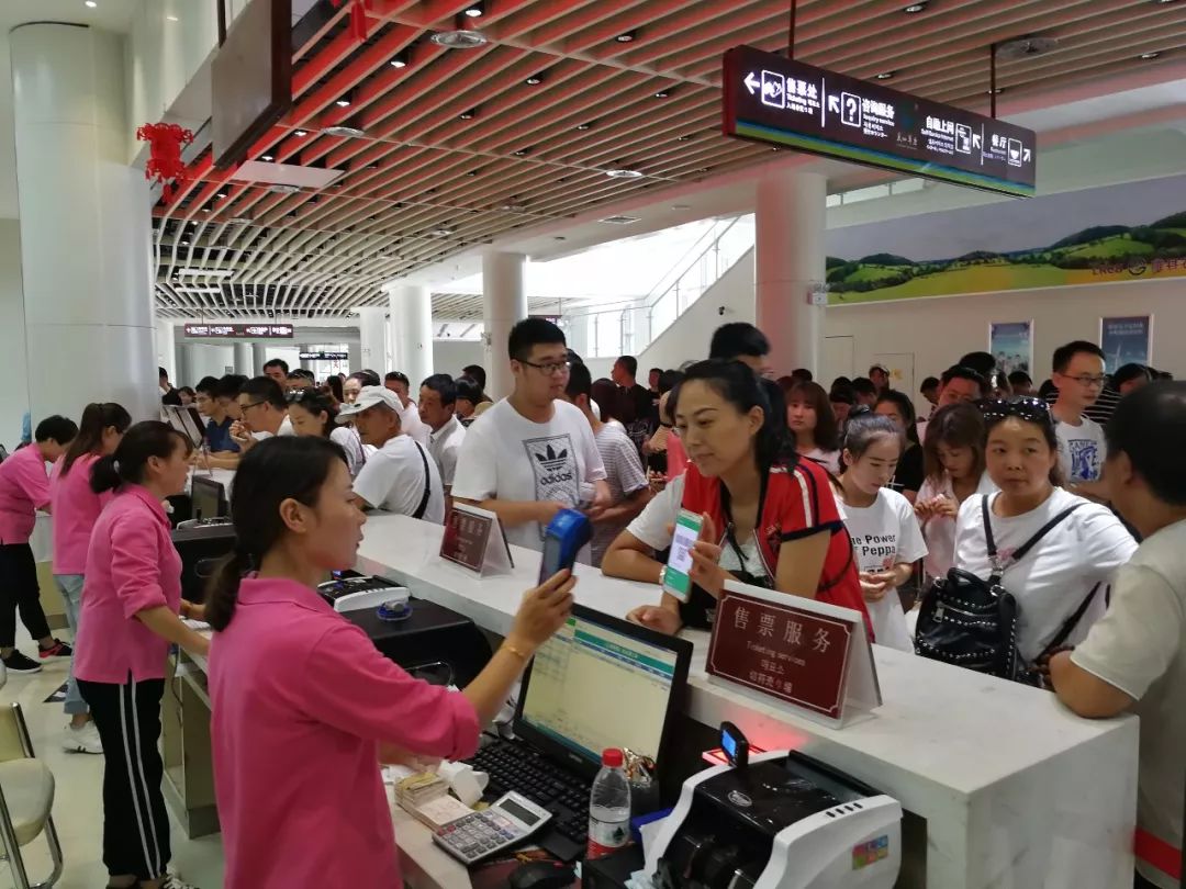 人从众的模式,人从众