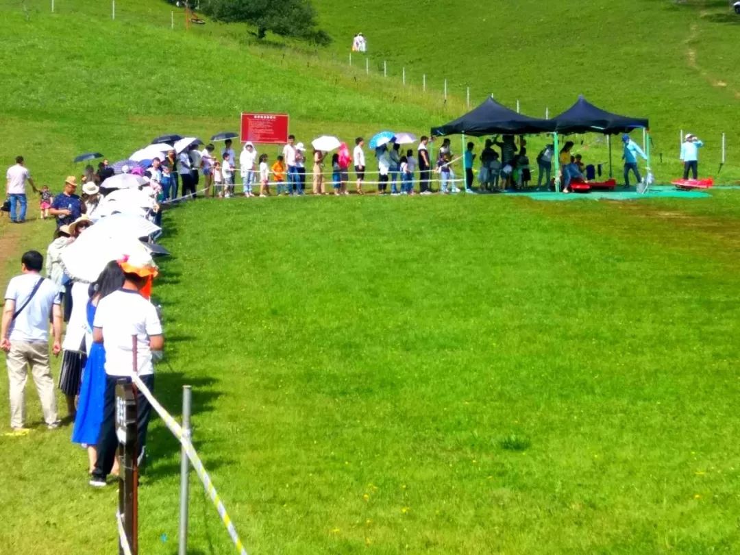 人从众的模式,人从众