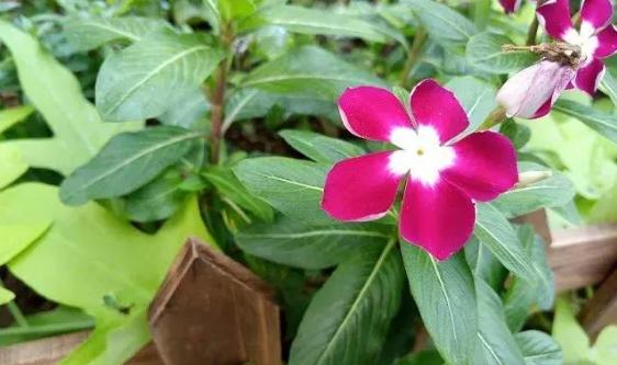 国美u9手机卡槽,国美u9