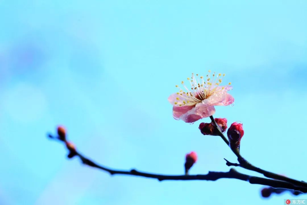 中国传统文化常识和民俗别称,中国民俗别称大全