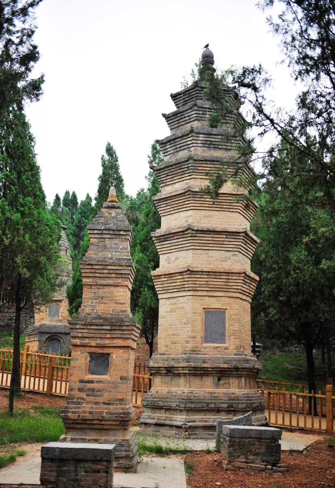 8月飞机票通常最低几折,八月北京到新疆机票价格