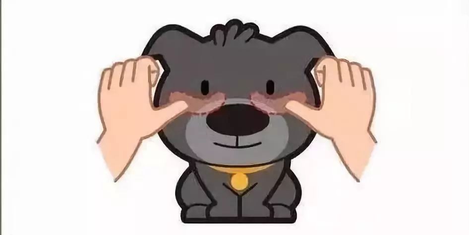 一招解决狗狗泪痕,如何解决狗狗泪痕